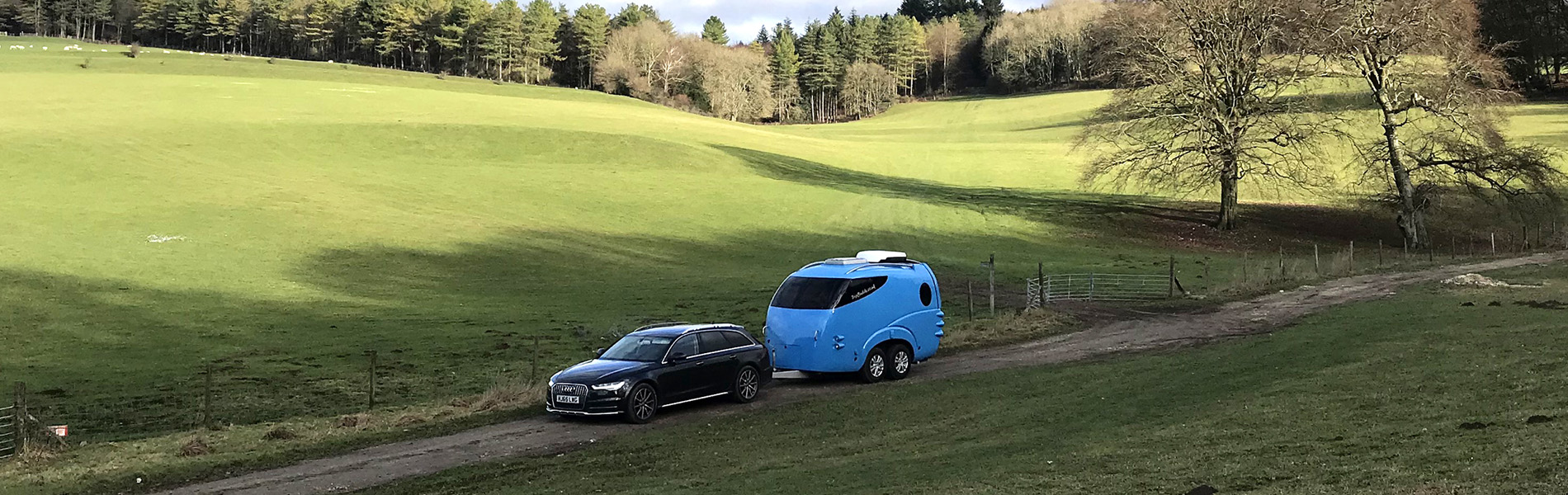 Tripbuddy in the country