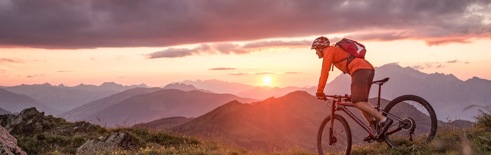 Tripbuddy Mountain Biking